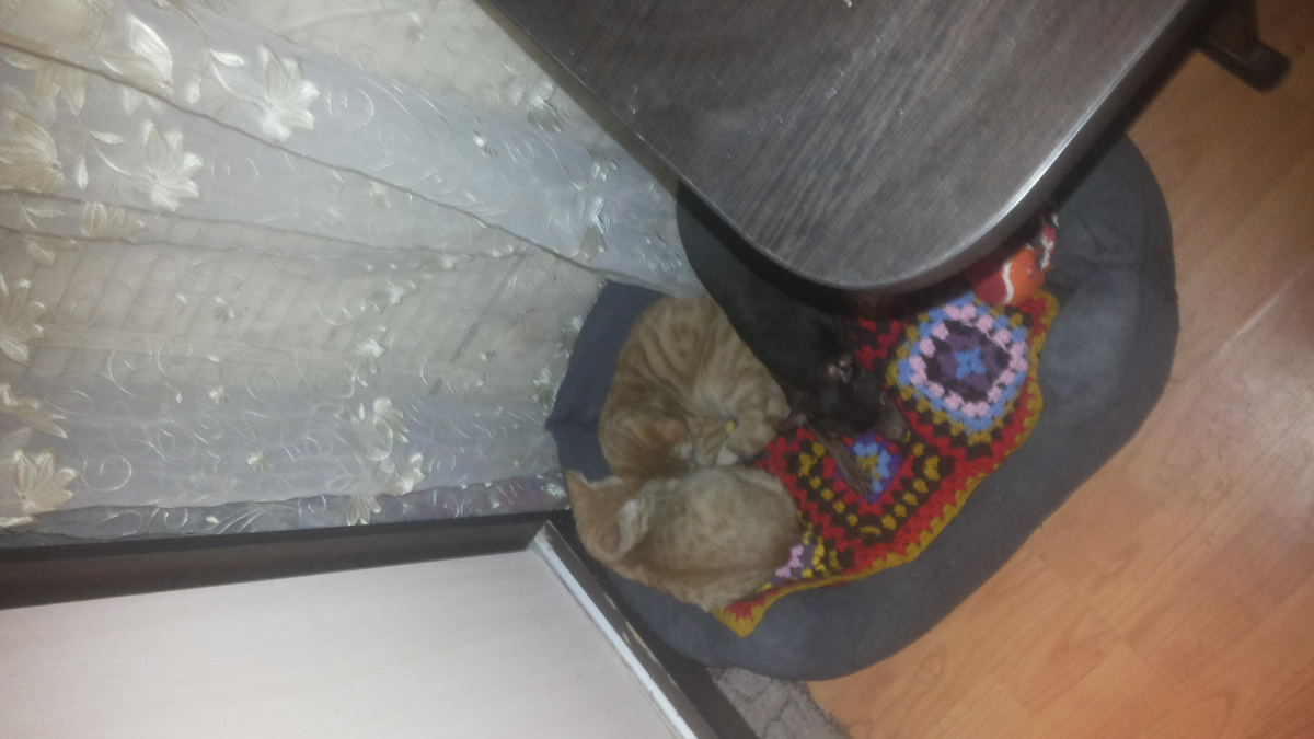 Личное фото, использование запрещено