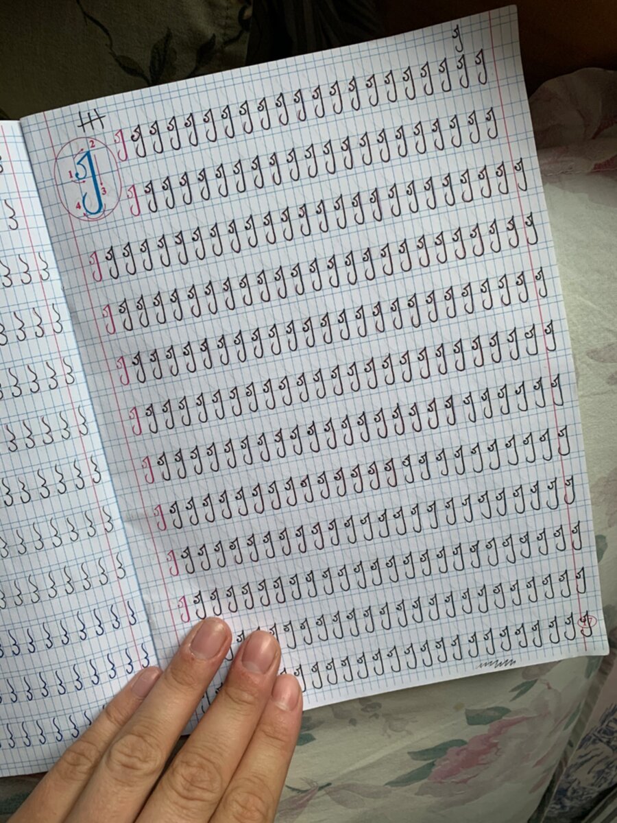 Мои прописи, буква Ж