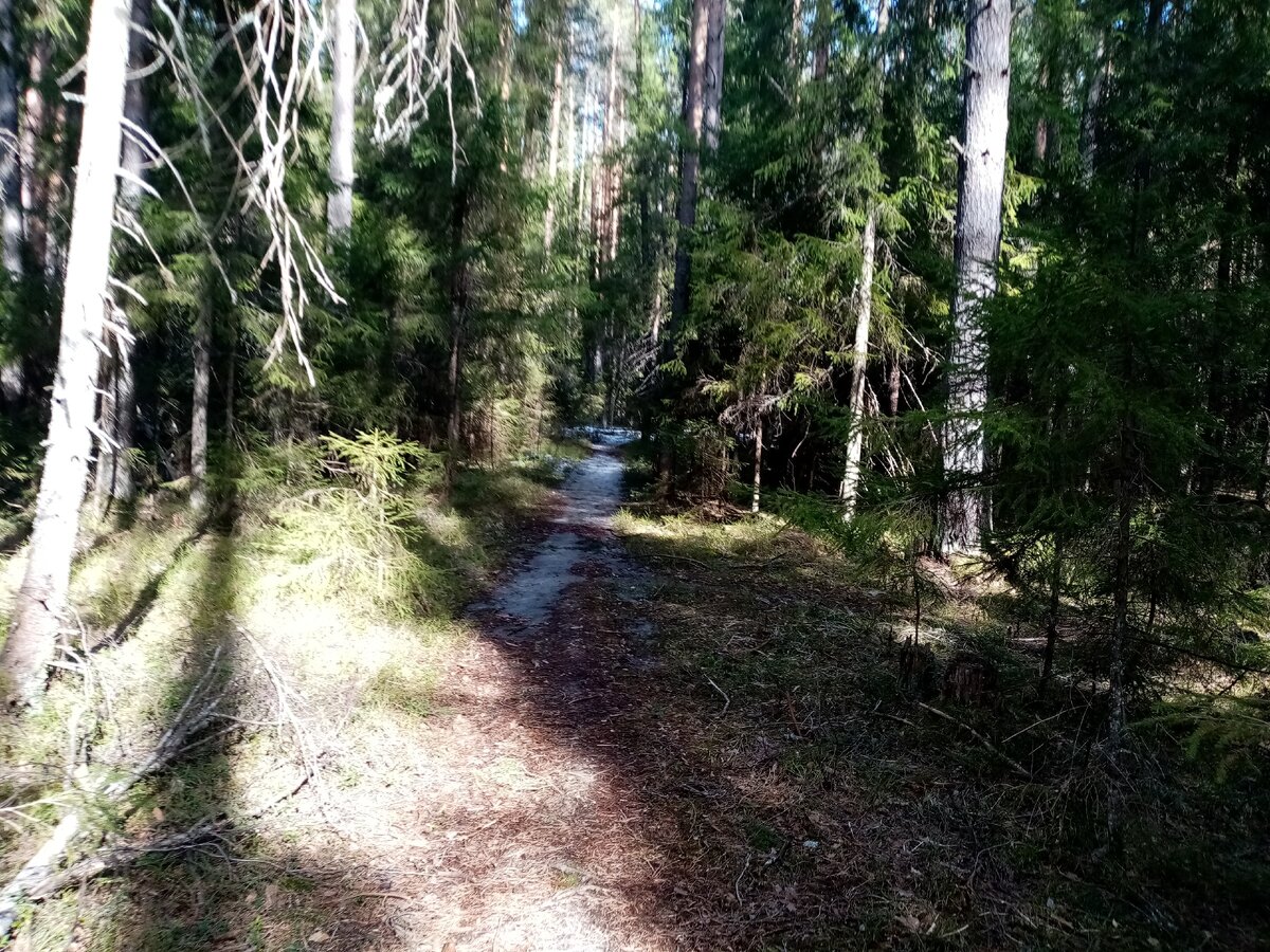 Глуш