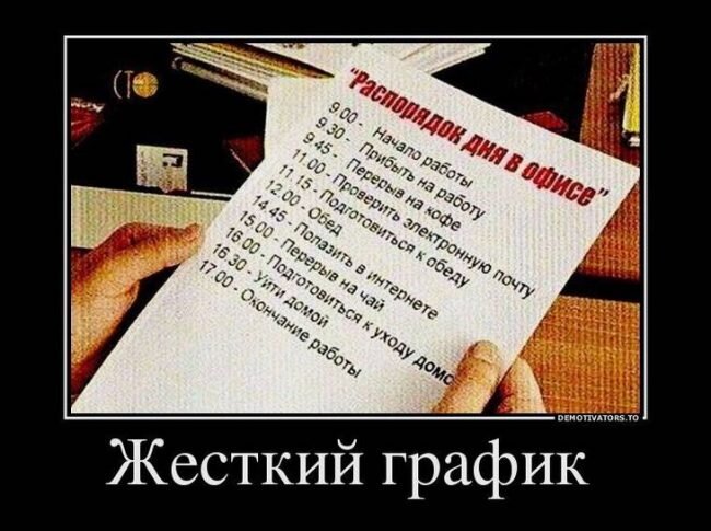 Фото взято из открытого доступа.
