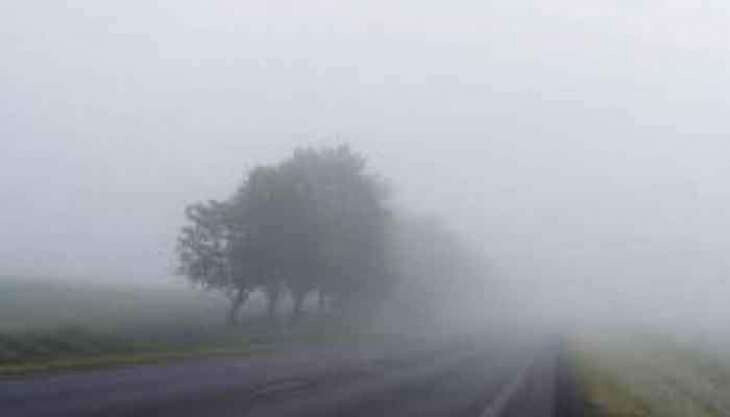 Приблизительно такое туманное утро было в тот злополучный день