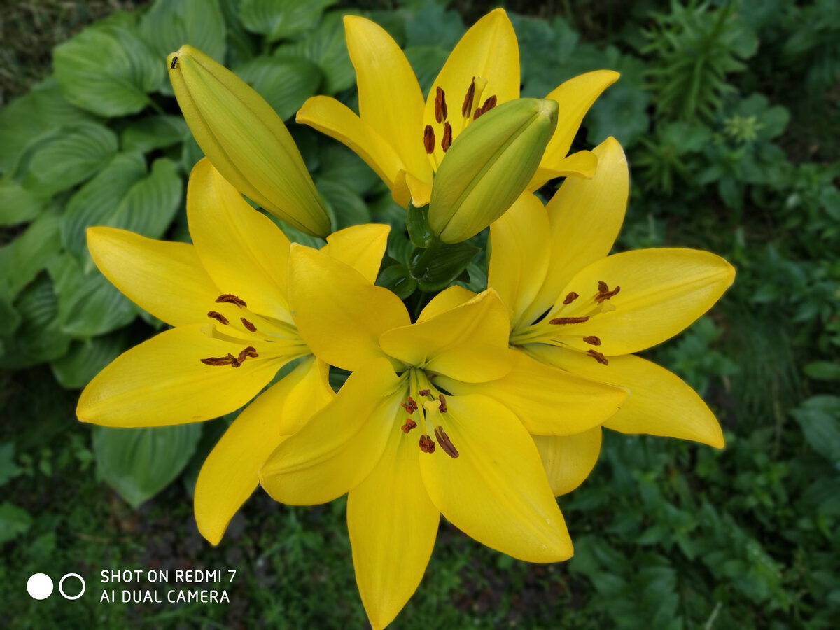 Фото из личного архива.