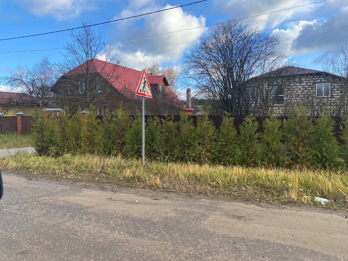 Живая изгородь из туи пришла к нам из Европы. В царской России в основном живые изгороди были из елей.