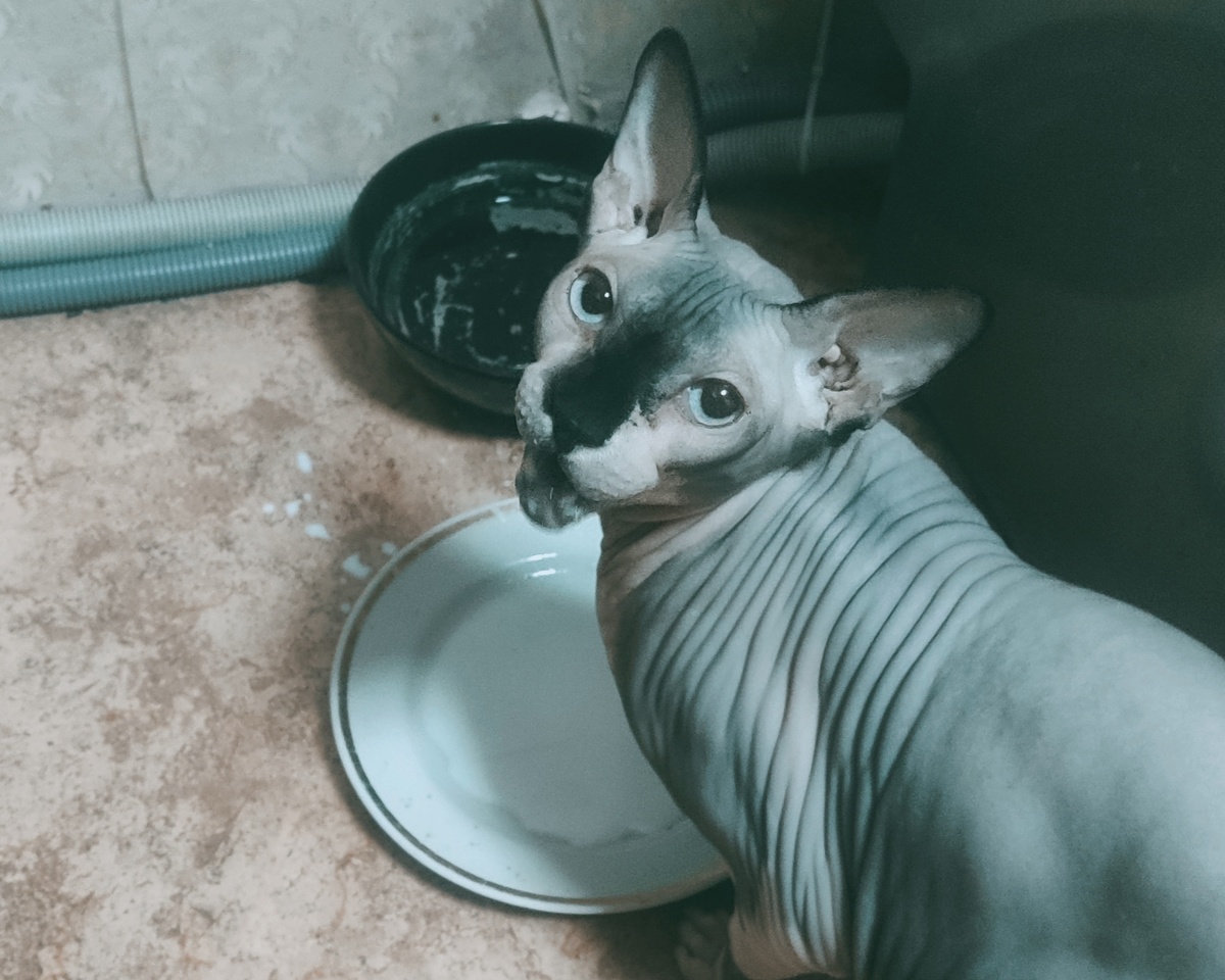 По усам текло...😃