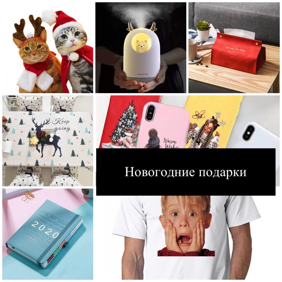 фото с google.com