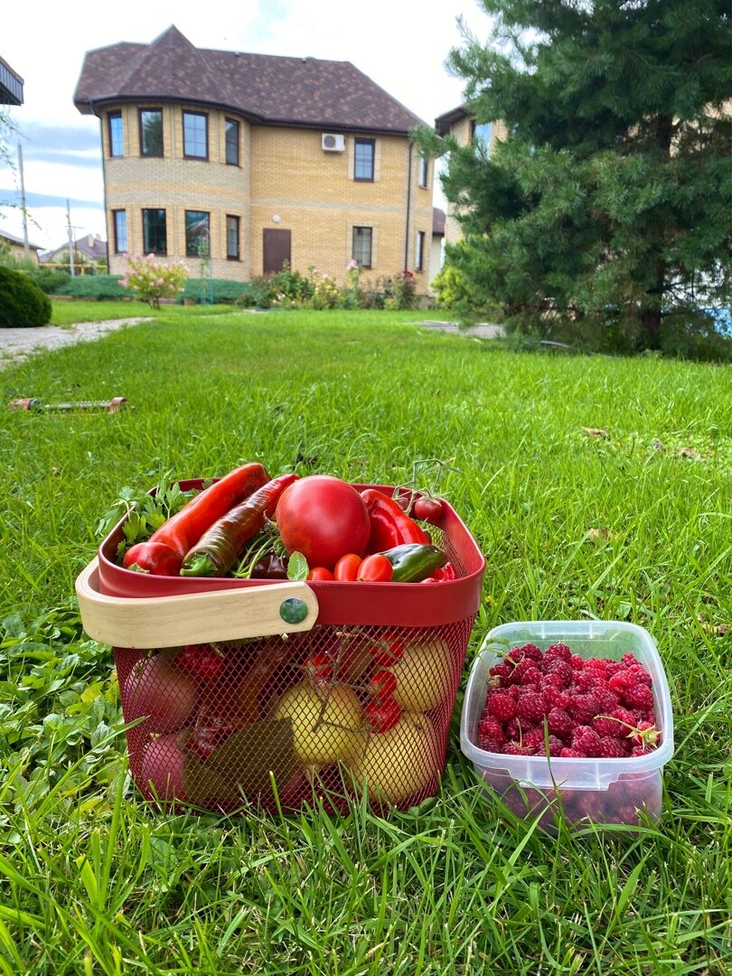 фрукты и овощи