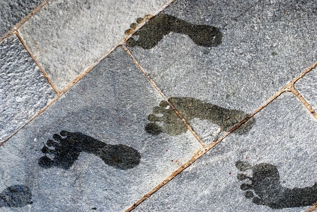 Фото с Яндекс картинки