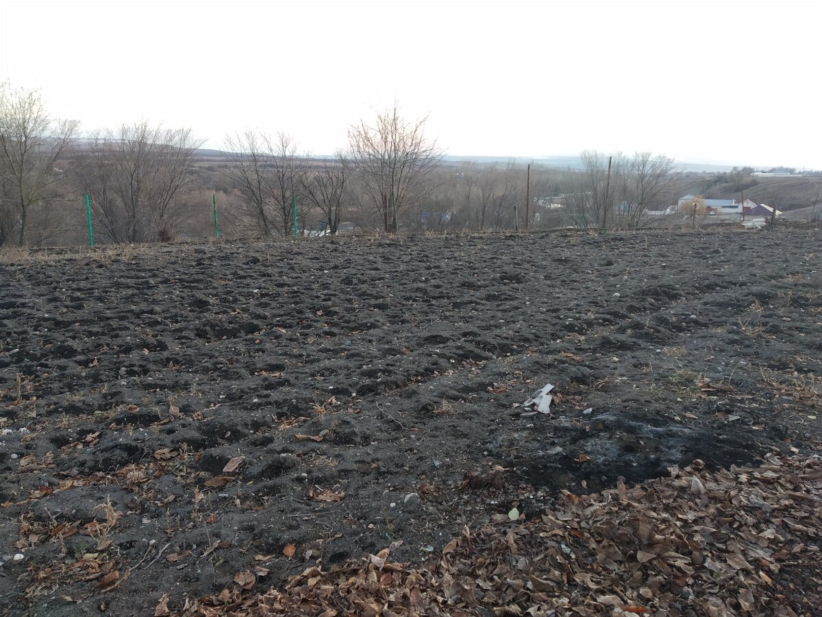 Фотография автора