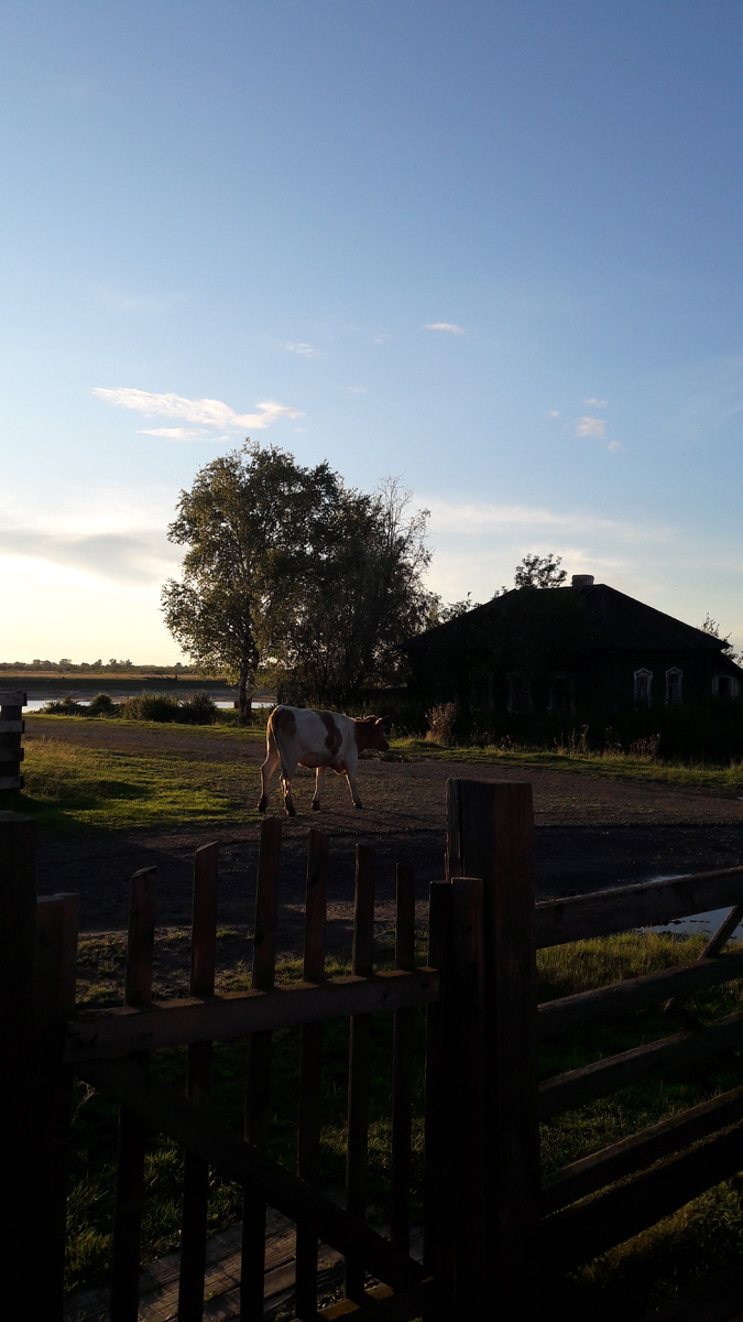 А это -реальность.