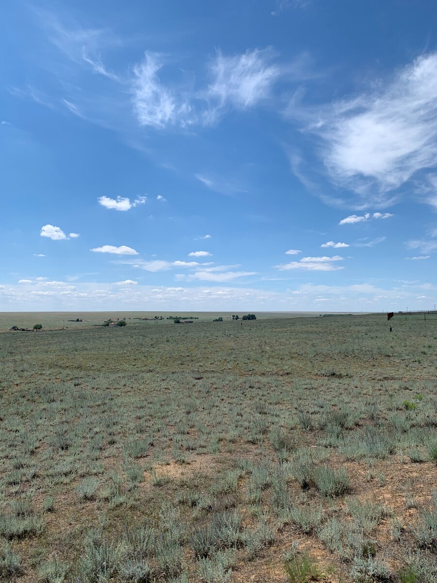 Фотография урочища Годжур с холма, где находился субурган зайсанга Эмген-Убуши Дондукова. Можно разглядеть особняк и остатки садов(включая очень большие сады на линии горизонта справа), описанные Голстунским в 1886 году.