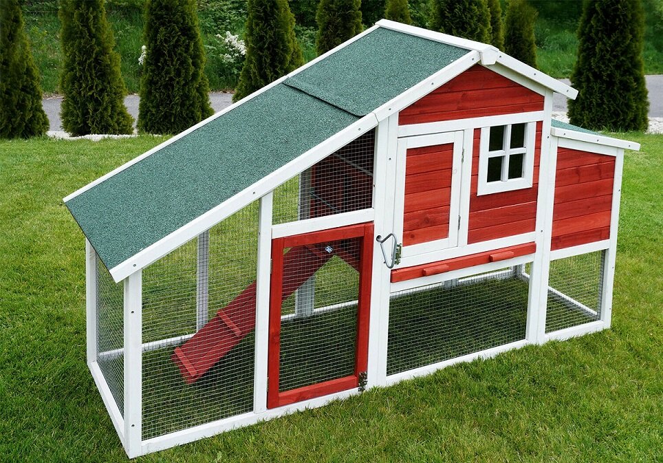 В публикации использованы фото из свободных источников.