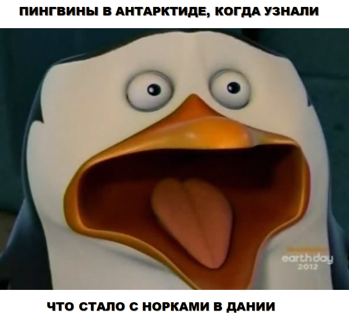 Бедные пингвины