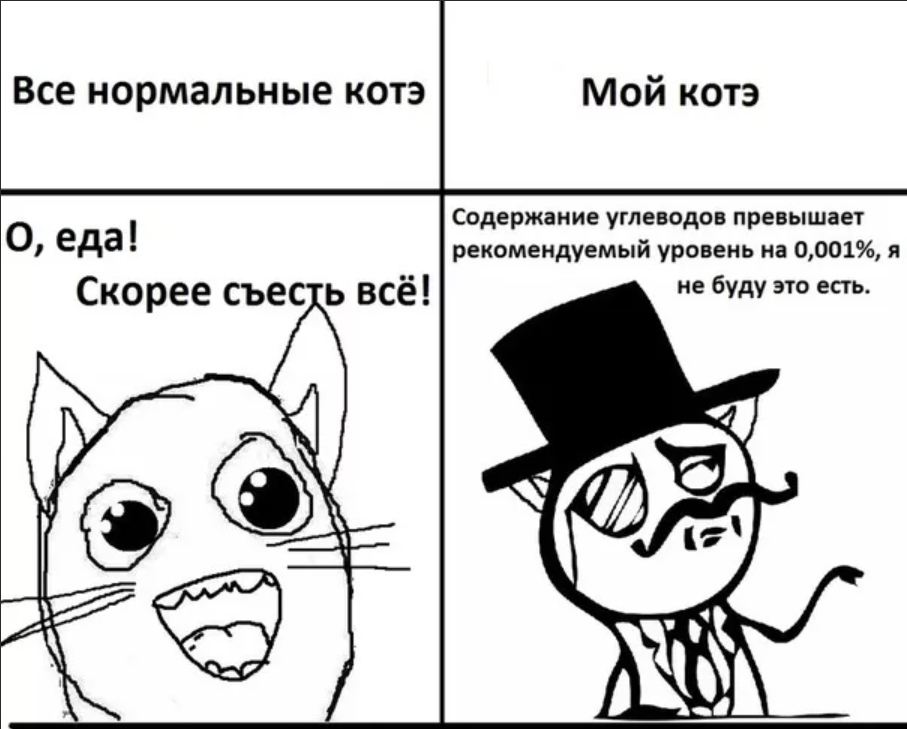 Пин от пользователя Эксперт по грибам на доске Пикчи на каждый день в 2023 г Вес