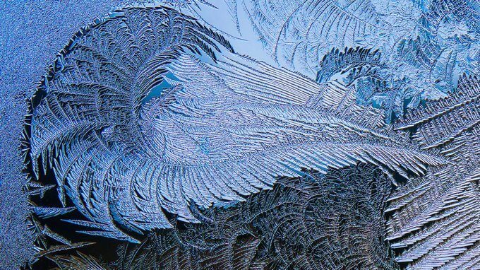 "Оттиск крыла на стекле", фотография Elizabeth Root Blackmer