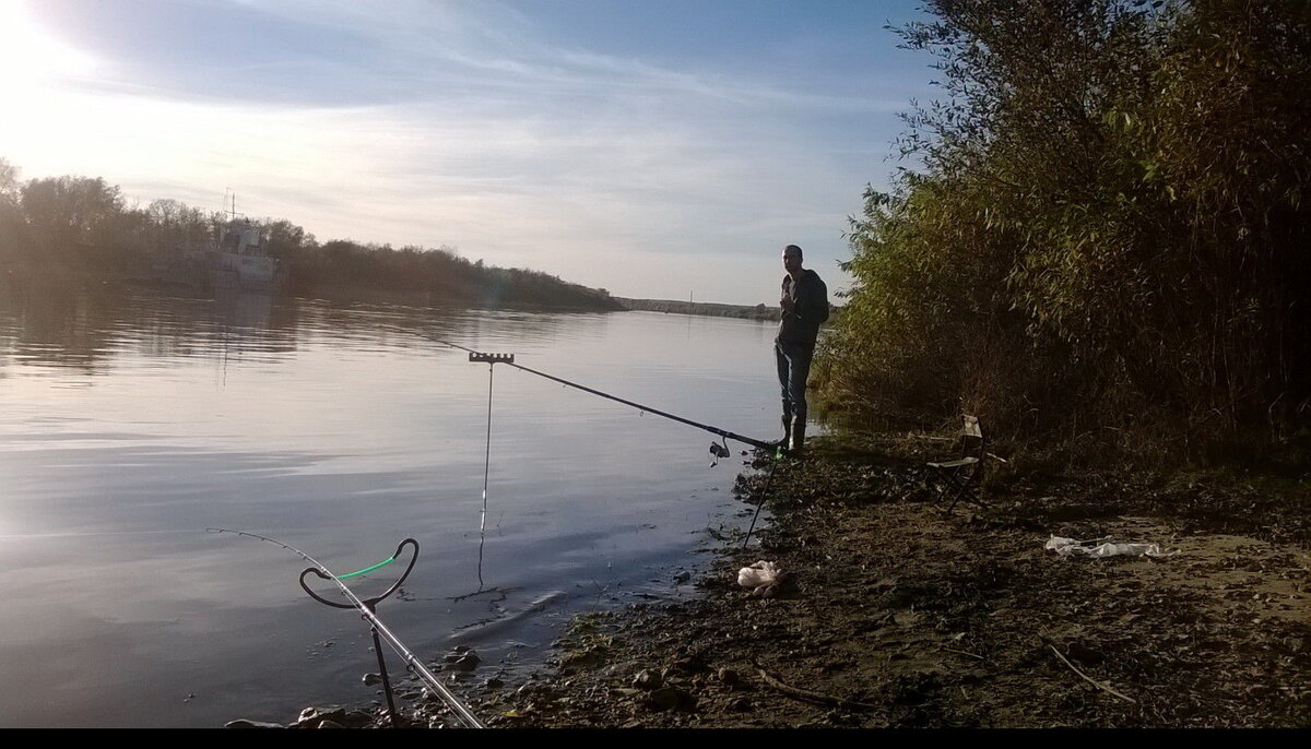 Рыбалка в Звенигороде на реке Москва - полезная информация и советы
