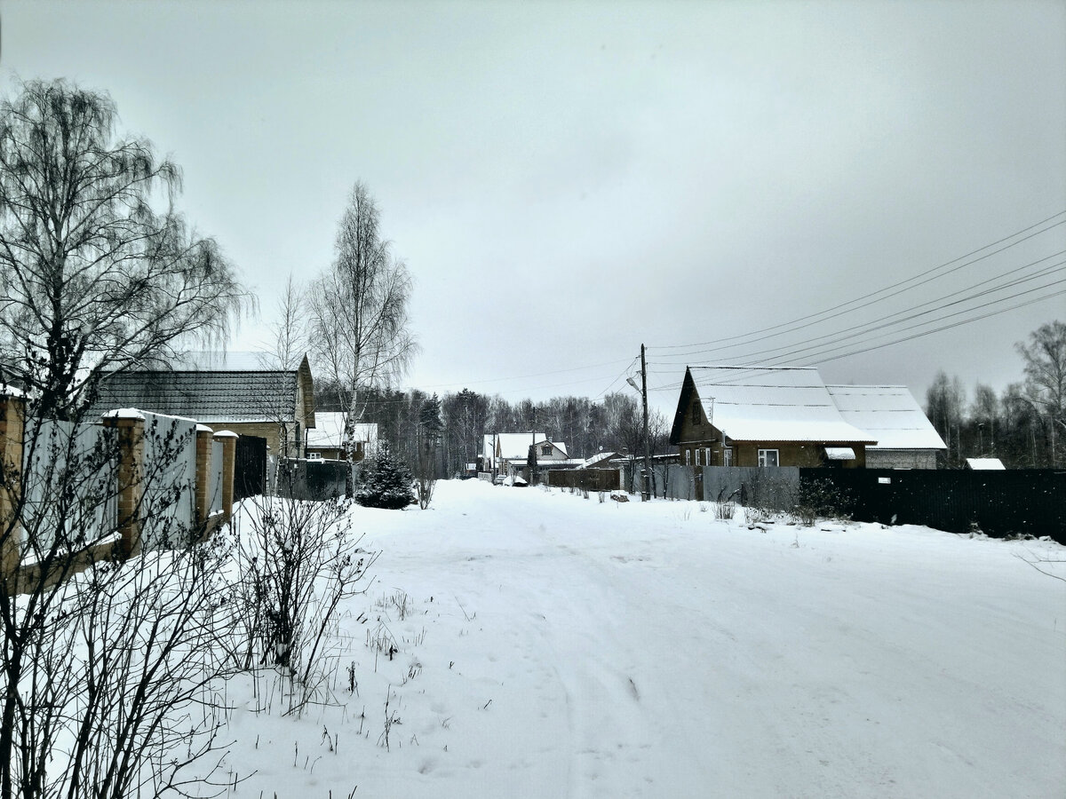 Деревня Турки Киржачского района