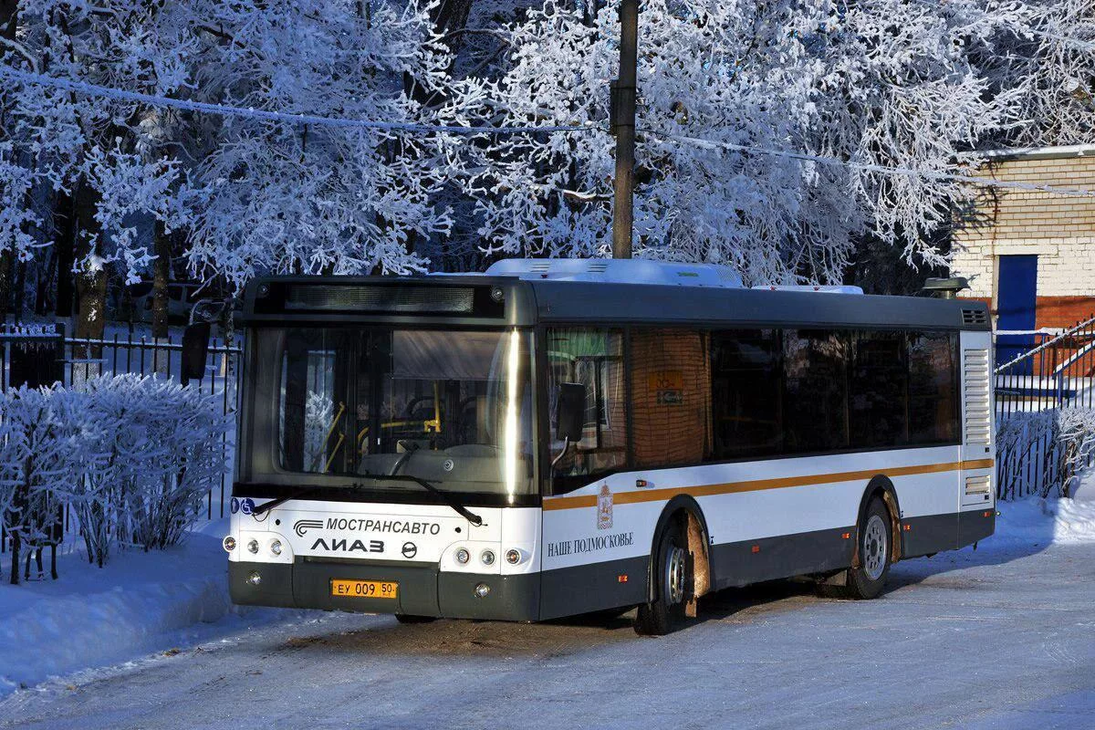 Изображение из сервиса Яндекс.картинки