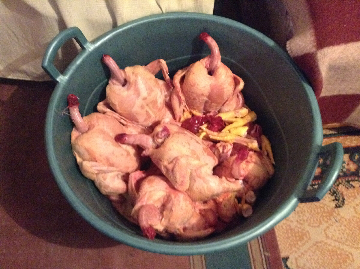 первая партия готова