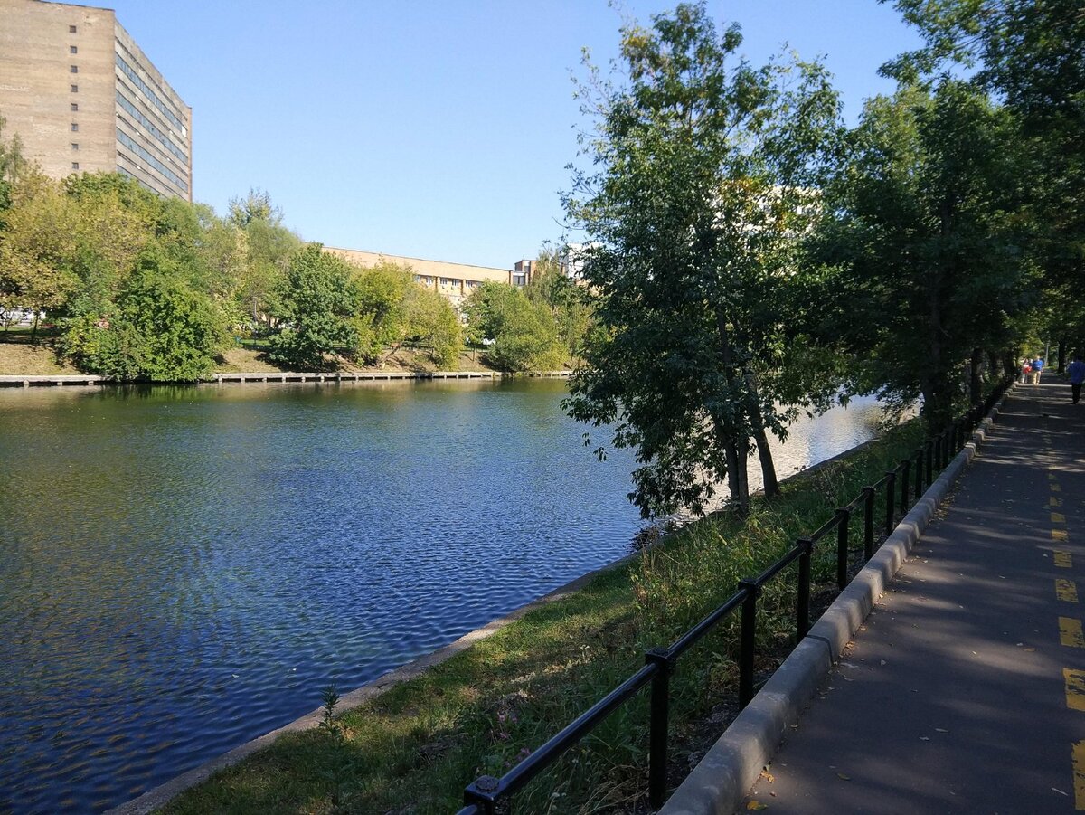 Вода в водоемах москвы. Владимирский пруд шоссе Энтузиастов. Владимирский пруд Перово. Владимировские пруды Москва. Витебский пруд Москва.