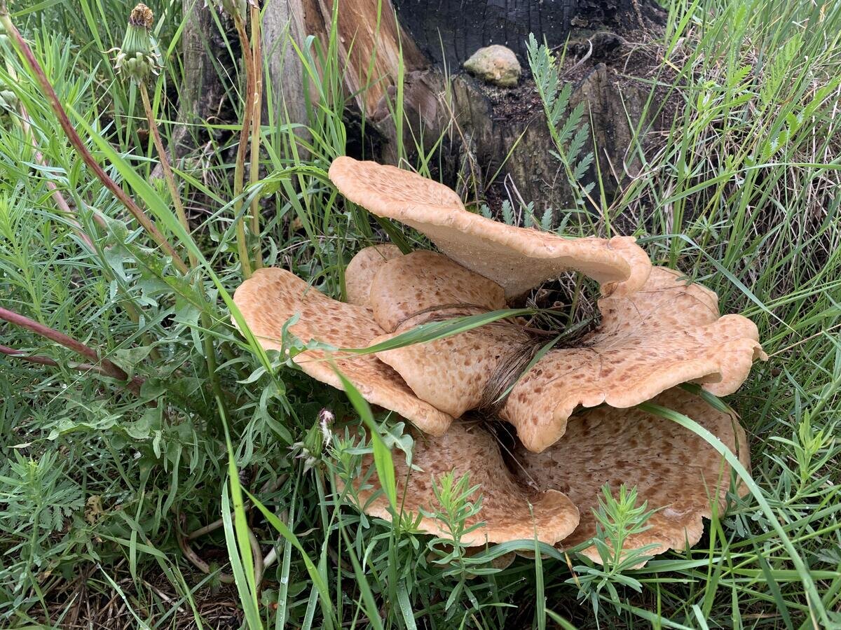 "Во-первых, это красиво..." (фото пользователя Alenka)