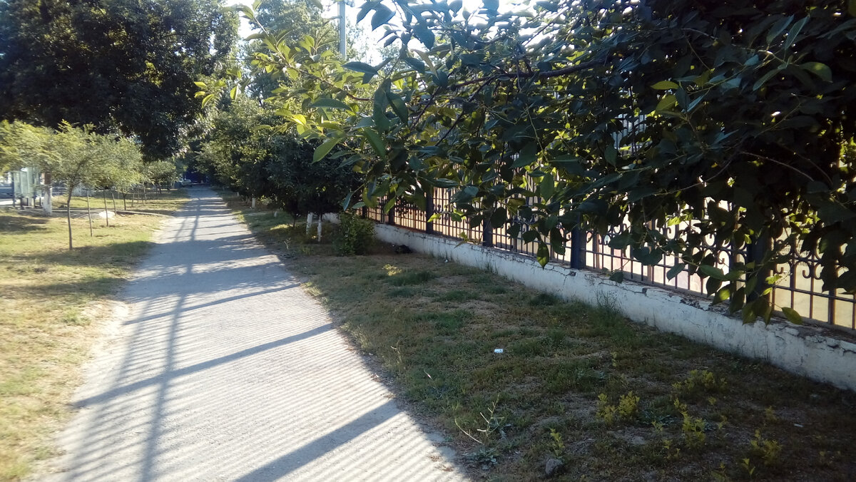 Стадион, забор со стороны Ш.Руставели.