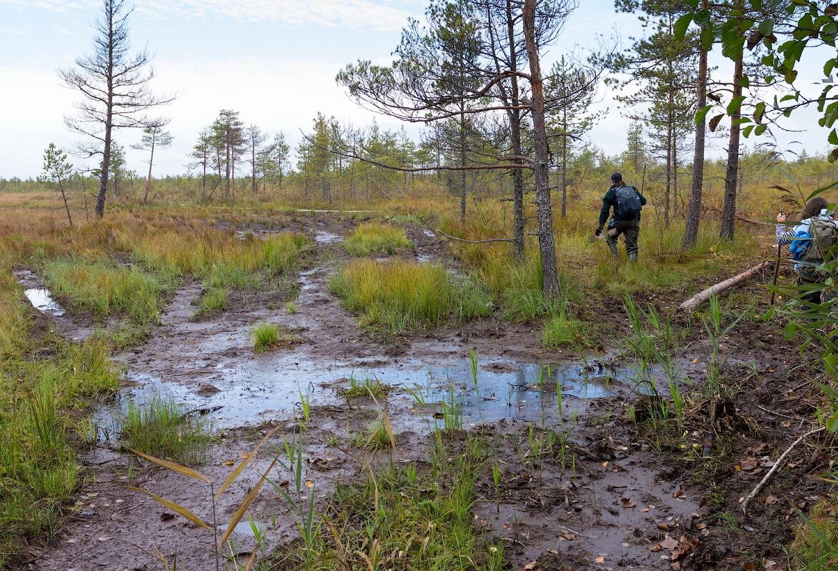 фото из интернета