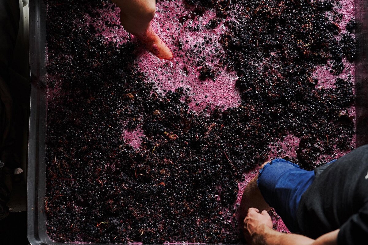 
Виноград после углекислотной мацерации готовят для дальнейшей обработки. © winemag.com