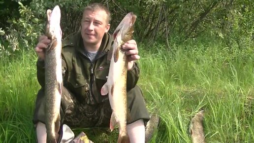 Ловля щуки на жерлицы и кружки летом на малой реке Хмелина видео