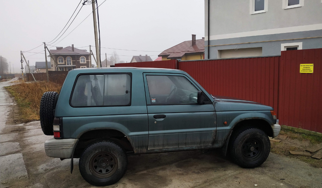 Мой верный Джерри