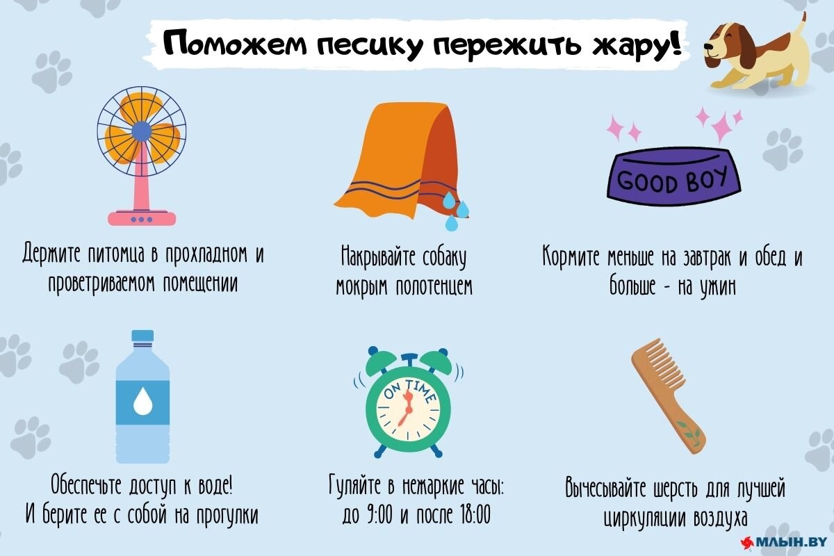 3. Предоставьте доступ к чистой воде