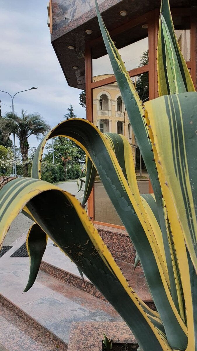 Добавьте описание