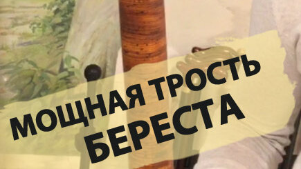 Трость из дерева Береста