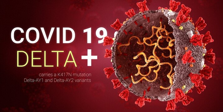 фото: shutterstock.com