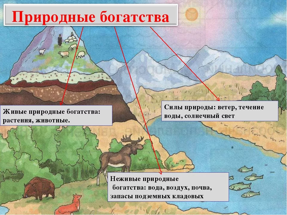 Природные богатства это окружающий мир. Богатства природы. Богатство природы земли 3 класс. Богатство природы рисунок. Богатство природы России.