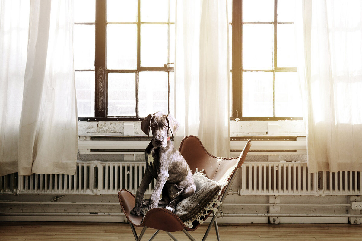 Фото: Sarah Richter /Pixabay