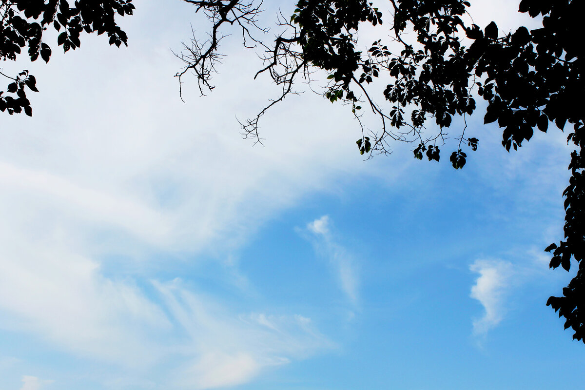 Моё августовское небо