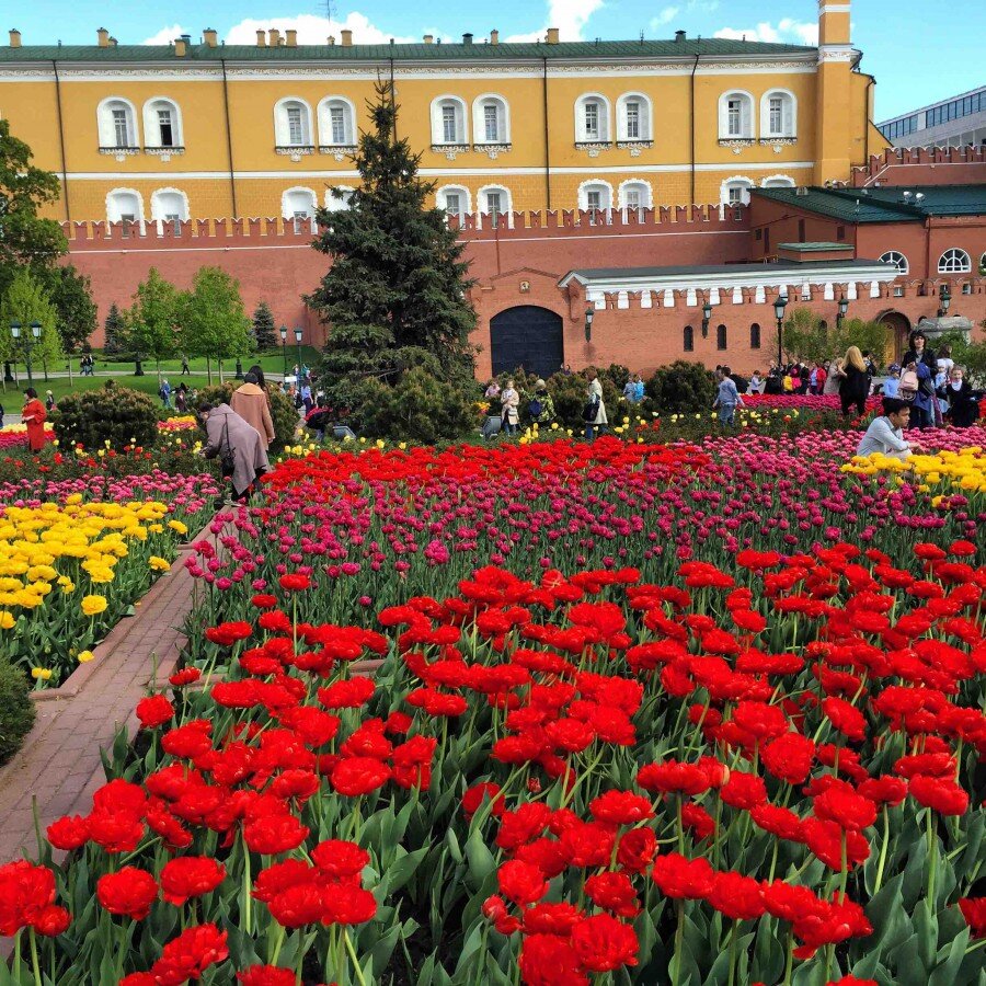 Александровский сад (фото из открытых источников)