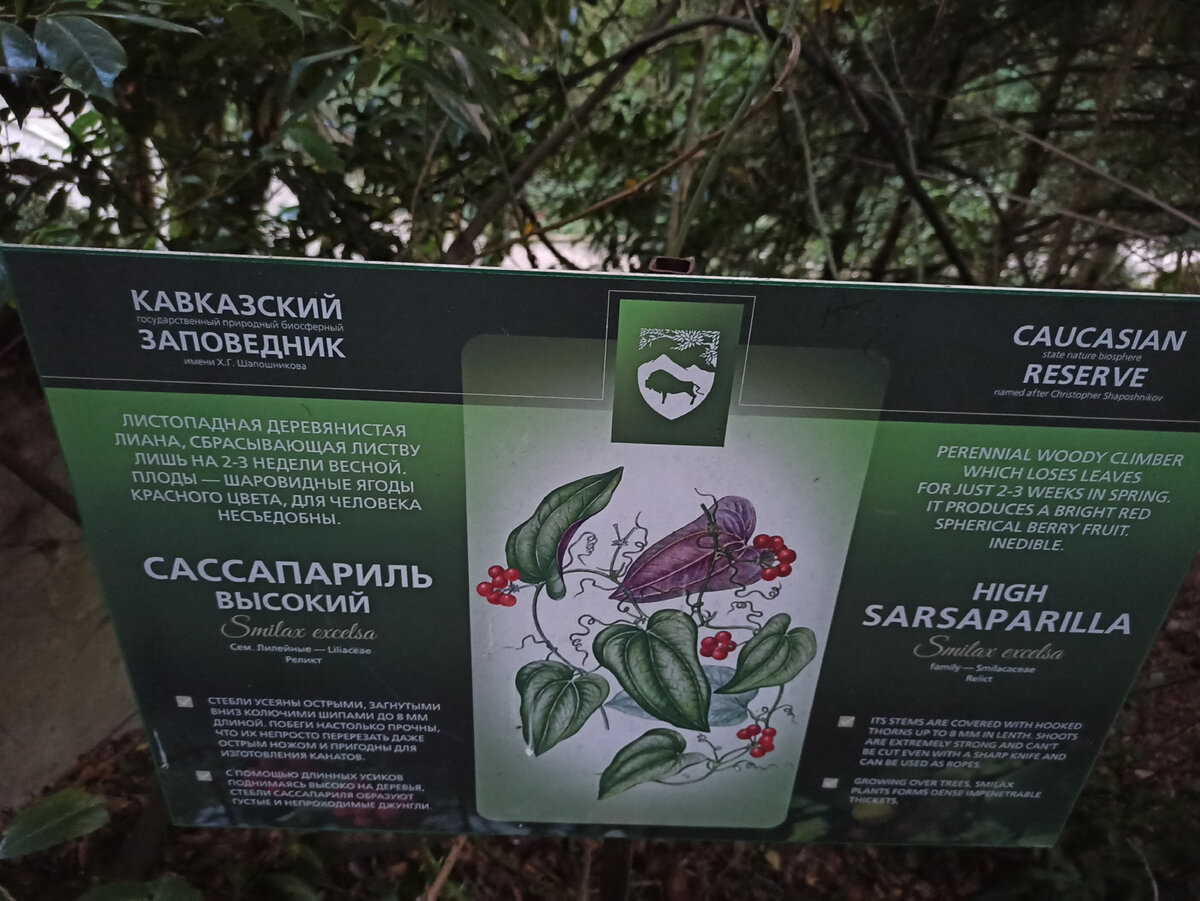 животные и растения здесь обитающие