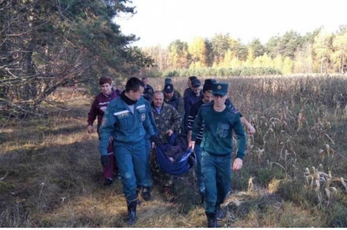    Пенсионер получил ранение при сборе грибов на полигоне в Нижнем Новгороде