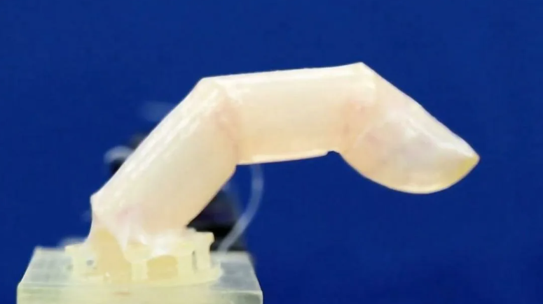 Фото: tiells.com