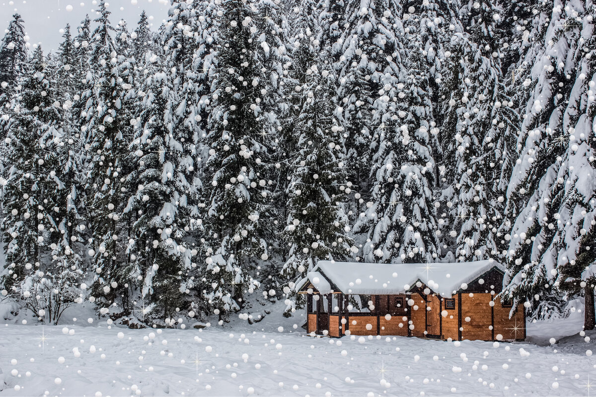 Источник фотографии: Unsplash