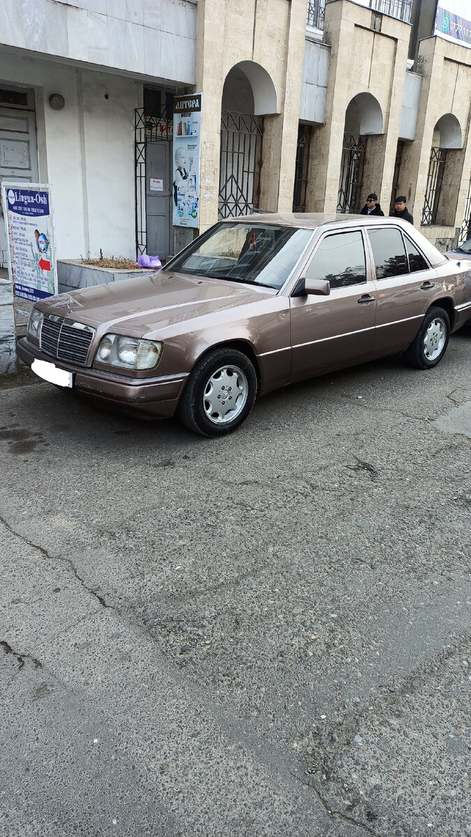 Фото снято автором