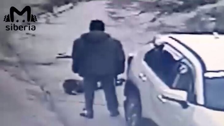 Фото: телеграм-канал "Mash Siberia" 