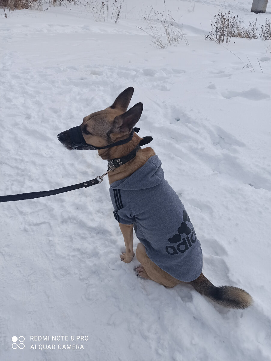 Лаки в адидоге