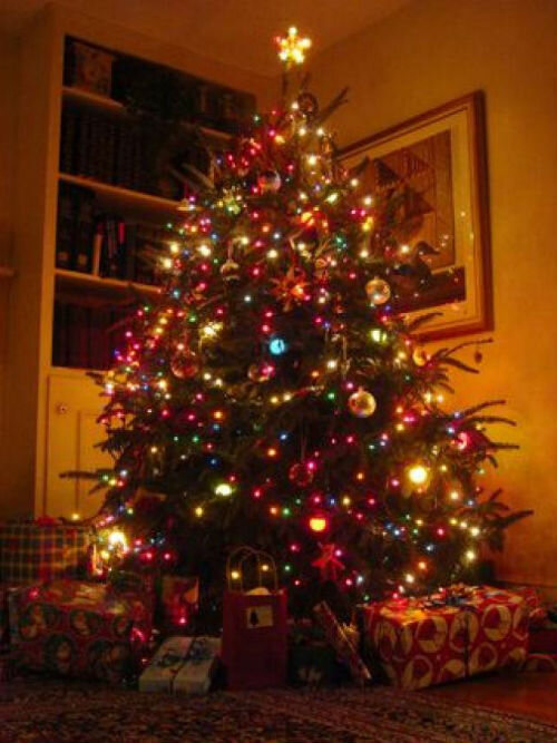 Фото из Интернета