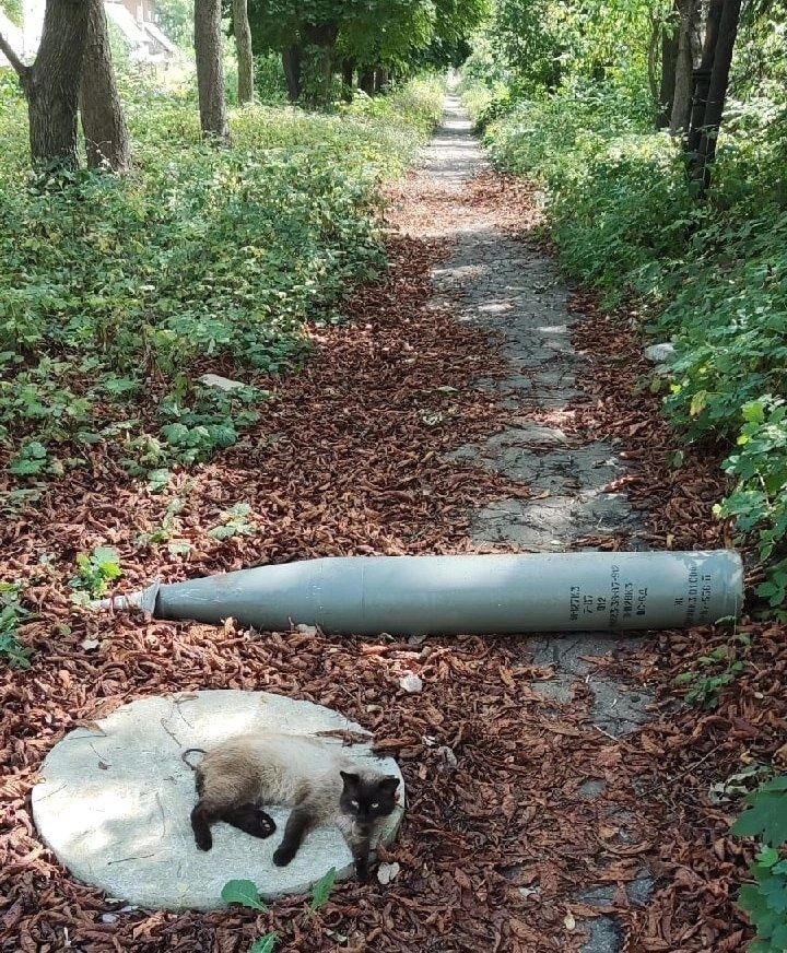     Фото Вячеслава Нестеренко. Донецк. Лето 2022.