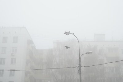   Густой туман в Москве ©Пелагия Тихонова РИАМО