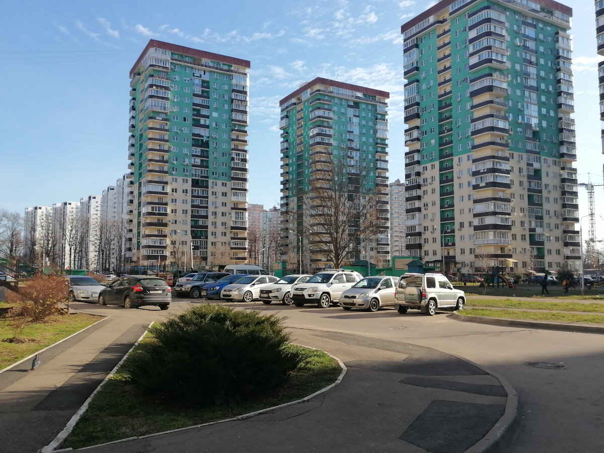 Каменные джунгли Краснодара. 