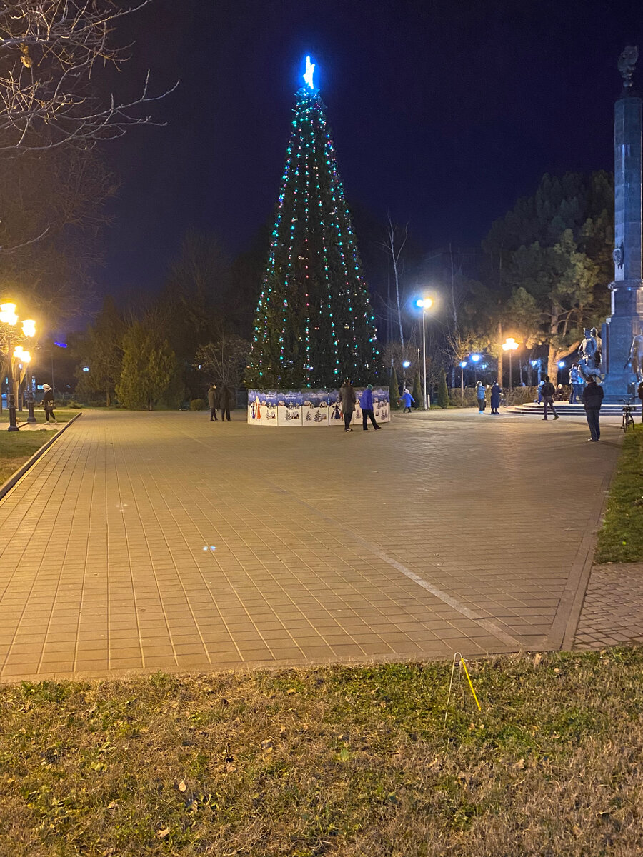 Елка в сквере Пограничников
