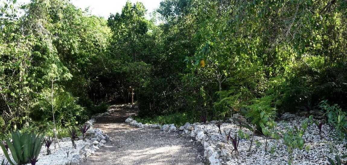 Дорогами Scape Park